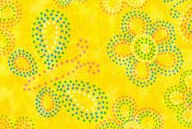 Fabric-yellowdottedbutterflyflower.jpg