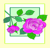 Flowers-rosefushiayellowborder.gif