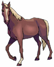 Animals-brown-horse.gif