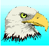 Birds-eaglehead.gif