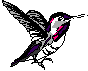 Birds-hummingbird.gif