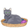 Cats-basketcat.jpg