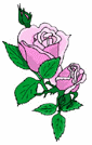 Flowers-rosepink.gif