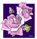 Flowers-roses_purplepink.gif