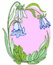 Flowers-tulipbluewhite.gif