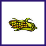 Food-corn.jpg