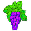 Food-grapes.jpg