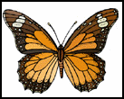 Insects-butterflymonarch.gif