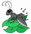 Insects-cricket.gif