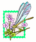 Insects-dragonflyflowers.gif
