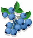 Nature-blueberries.gif