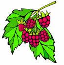Nature-raspberry.gif