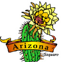 States-AZ_ArizonaSaquaro.jpg