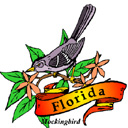 States-FL_FloridaMockingbird.jpg