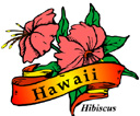 States-HI_HawaiiHibiscus.jpg
