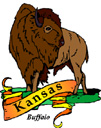 States-KS_KansasBuffalo.jpg