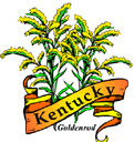States-KY_KentuckyGoldenrod.jpg