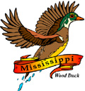 States-MS_MississippiWoodDuck.jpg