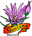 States-MT_MontanaBitterroot.jpg