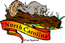 States-NC_NorthCarolinaGreySquirrel.jpg