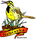 States-NE_NebraskaMeadowlark.jpg