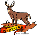 States-NE_NebraskaWhiteTailedDeer.jpg