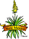 States-NM_NewMexicoYucca.jpg