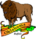States-OK_OklahomaBuffalo.jpg