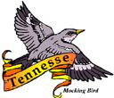 States-TN_TennesseeMockingBird.jpg