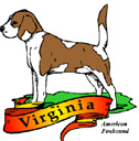 States-VA_VirginiaAmericanFoxhound.jpg