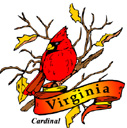 States-VA_VirginiaCardinal.jpg