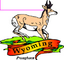 States-WY_WyomingPronghorn.jpg